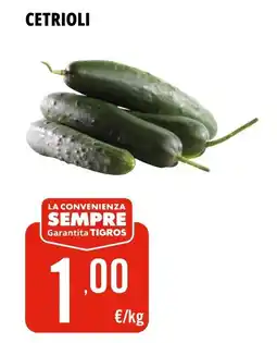 Tigros Cetrioli offerta