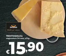 Bennet Trentingrana offerta