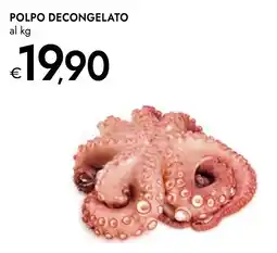 Bennet POLPO DECONGELATO offerta
