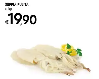 Bennet SEPPIA PULITA offerta