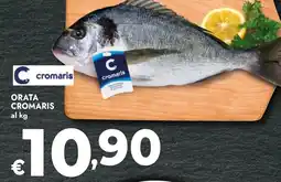 Bennet ORATA CROMARIS offerta