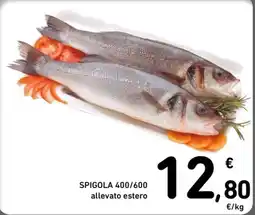 Spazio Conad SPIGOLA 400/600 allevato estero offerta