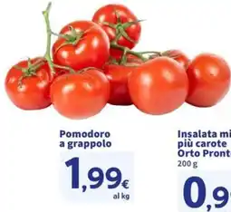 Sigma Pomodoro a grappolo offerta
