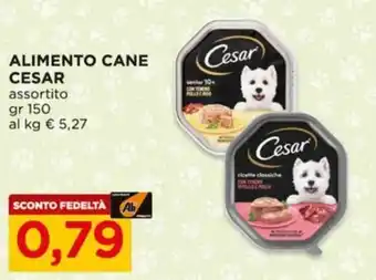 Alì Supermercati ALIMENTO CANE CESAR offerta