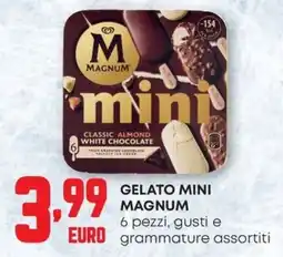 Pam Gelato mini Magnum offerta