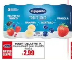 Il Gigante Yogurt alla frutta offerta