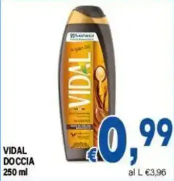 DEM Vidal doccia offerta