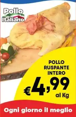 DEM Pollo Italiano offerta