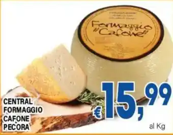 DEM Formaggio "Cafone" Pecora offerta