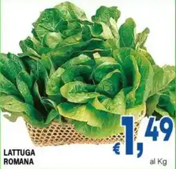 DEM LATTUGA ROMANA offerta