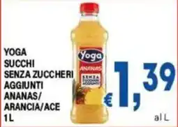 DEM Yoga Succhi Ananas offerta
