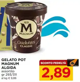 Alì Supermercati Gelato pot Magnum Algida offerta