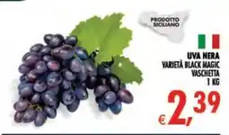Gourmet Déco UVA NERA VARIETÀ BLACK MAGIC offerta