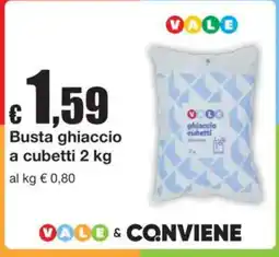 Sì con te Busta ghiaccio a cubetti VALE offerta