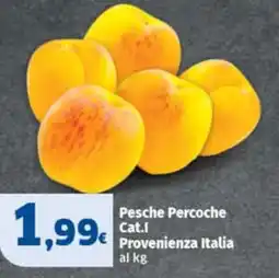 Sigma Pesche Percoche offerta