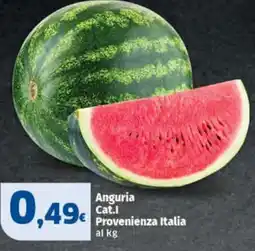 Sigma Anguria offerta