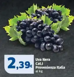 Sigma Uva Nera offerta