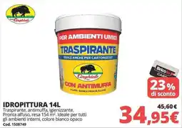 Brico Io IDROPITTURA 14L offerta