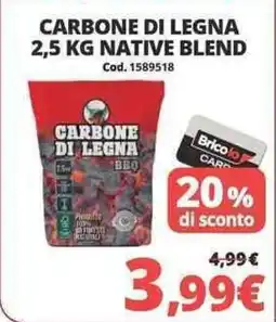 Brico Io Carbone di legna BBQ offerta