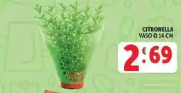 Deco Supermercati Citronella offerta