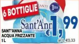 DEM Sant'anna acqua frizzante offerta