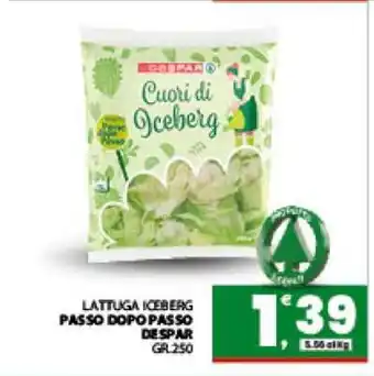 Eurospar Lattuga Iceberg offerta