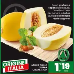 Eurospar MELONE GIALLO DESPAR offerta