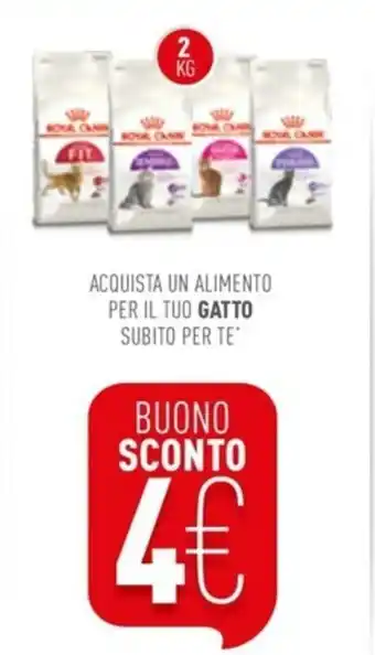Royal Canin Gatto 2kg