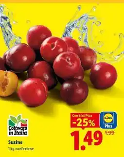 Lidl Susine offerta