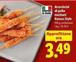 Lidl Arrosticini di pollo marinati Kansas Style offerta