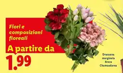 Lidl Fiori e composizioni floreali offerta