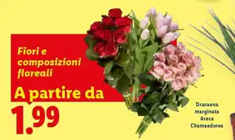 Lidl Fiori e composizioni floreali offerta