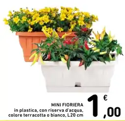 Spazio Conad MINI FIORIERA offerta