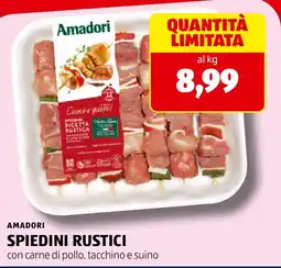 ALDI Amadori Spiedini Rustici offerta