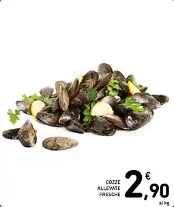Spazio Conad COZZE ALLEVATE FRESCHE offerta