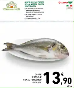 Spazio Conad ORATE FRESCHE CONAD PERCORSO QUALITA' offerta