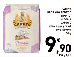 Spazio Conad Farina di grano tenero tipo "0" Nuvola Caputo offerta