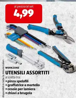 ALDI WORKZONE UTENSILI ASSORTITI offerta
