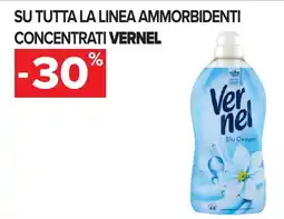Carrefour Ammorbidenti Concentrati Vernel offerta