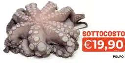 Mercatò Polpo offerta