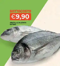 Mercatò ORATA 3/4 ALLEVATA ESTERO offerta