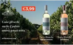 Mercatò Terre Bianche Sella&Mosca offerta