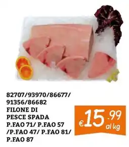 Zona FILONE DI PESCE SPADA offerta