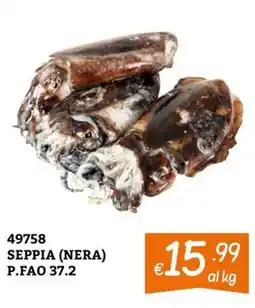 Zona SEPPIA (NERA) offerta