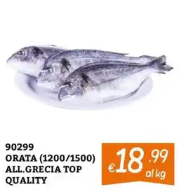 Zona ORATA ALL.GRECIA TOP QUALITY offerta