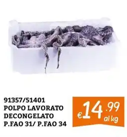 Zona POLPO LAVORATO offerta