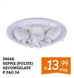 Zona SEPPIE (PULITE) DECONGELATE offerta