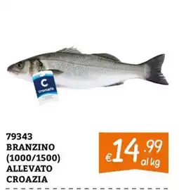 Zona Branzino Cromaris offerta