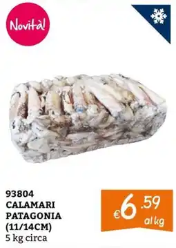 Zona CALAMARI PATAGONIA offerta