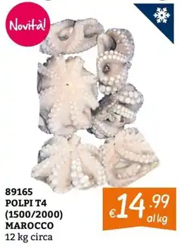 Zona Novital POLPI T4 offerta